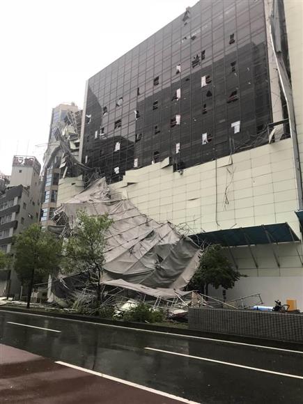 活動歴および当時の関連ビジュアル記録
